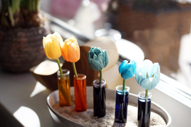 Vijf gekleurde tulpens staan op een rijtje op de vensterbank