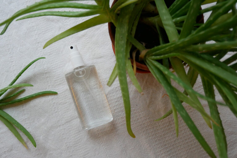 Naast de aloë vera plant ligt een doorzichtige spuitfles met heldere inhoud op een witte achtergrond.