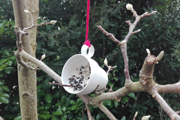 In de boom hangt een kom met vogelzaad in vet