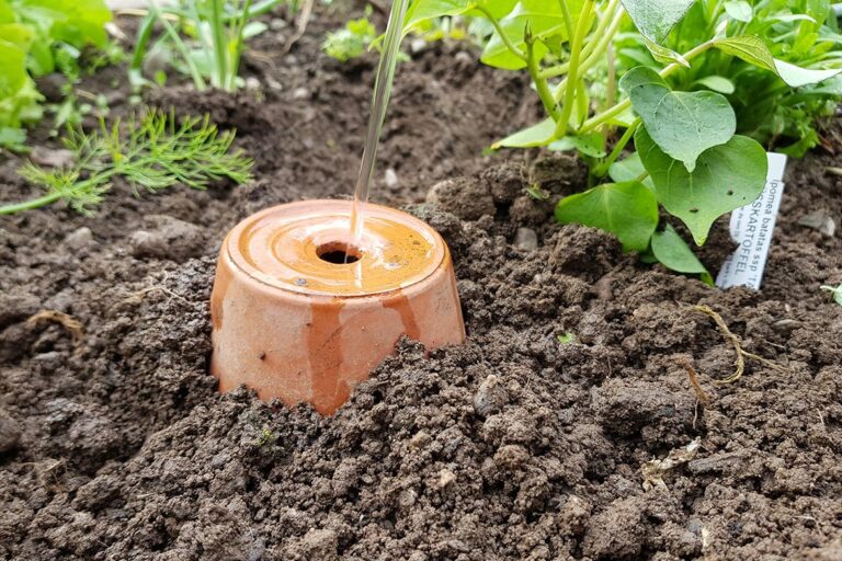 De olla wordt gevuld met water.