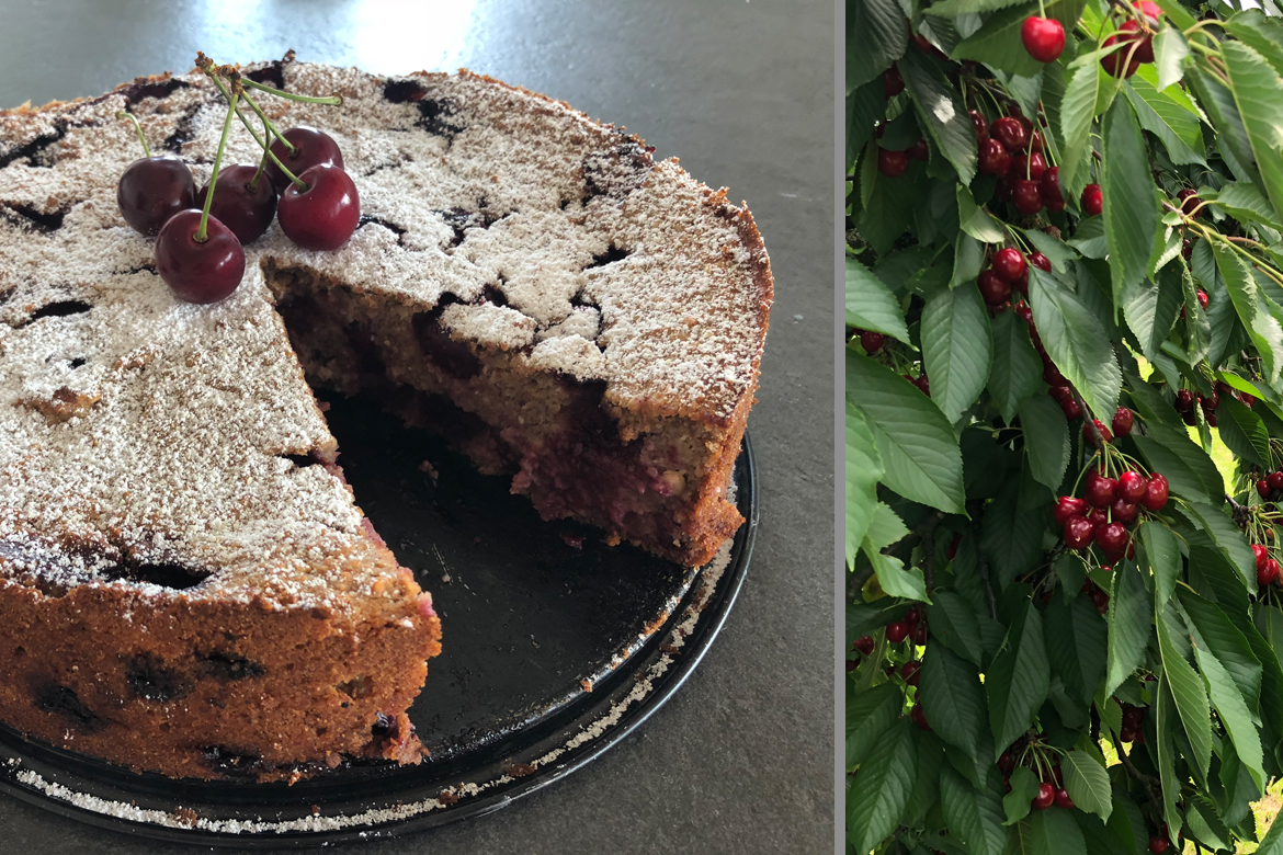 Links op de foto zie je de aangesneden taart, rechts een volle kersenboomtak.