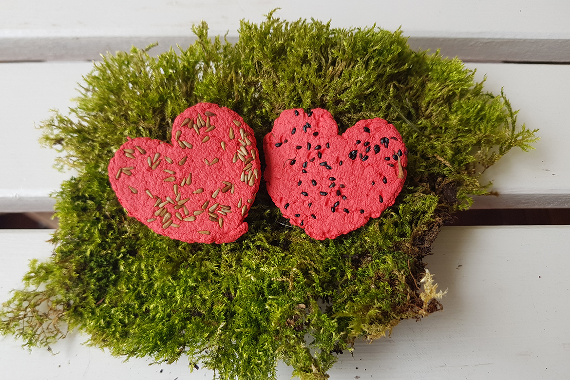 Twee rode hartjes met verschillende zaadjes liggen op een stuk mos.