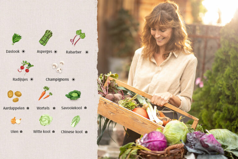 De seizoenskalender van april is afgebeeld in de grafiek links, rechts bekijkt een vrouw verse groenten in haar mand.