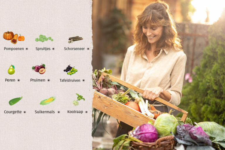 Links zijn groenten en fruit van de seizoenskalender van september afgebeeld, rechts een vrouw met een mand groenten in haar handen.