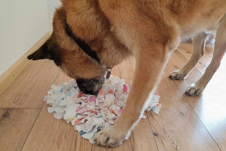 De hond speelt enthousiast met de zelfgemaakte snuffelmat.