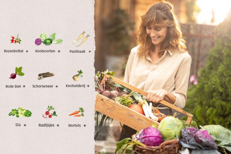 Links op de foto staat een deel van de seizoenskalender van november, rechts draagt een vrouw een kist met groenten.