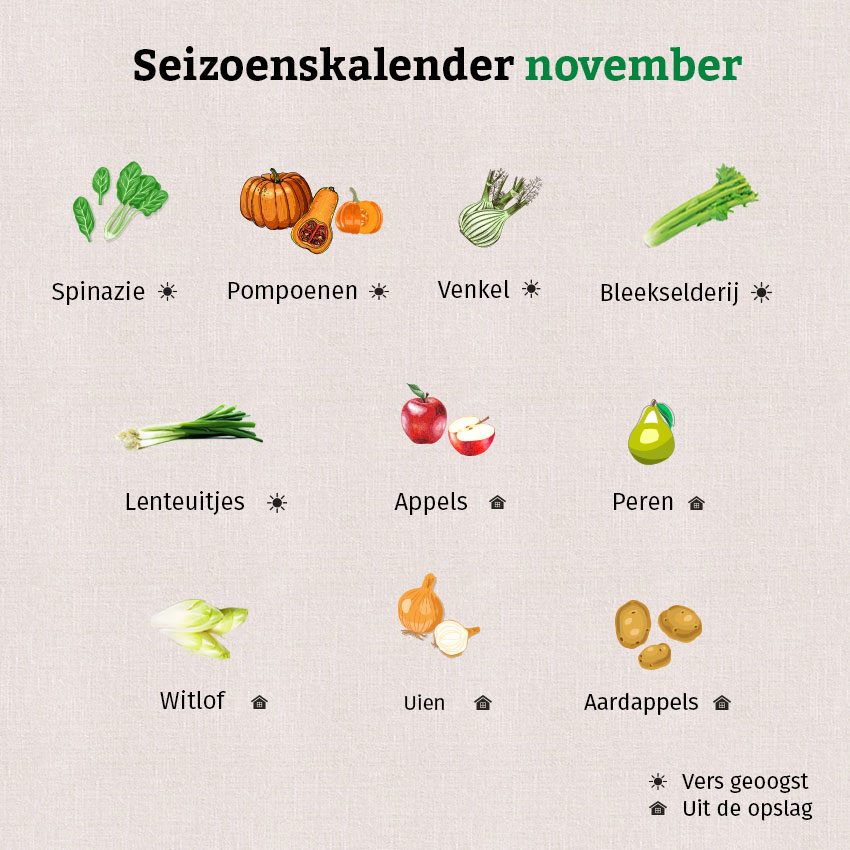 De grafiek voor de seizoenskalender van november toont pompoenen, spinazie, uien, aardappelen en meer.