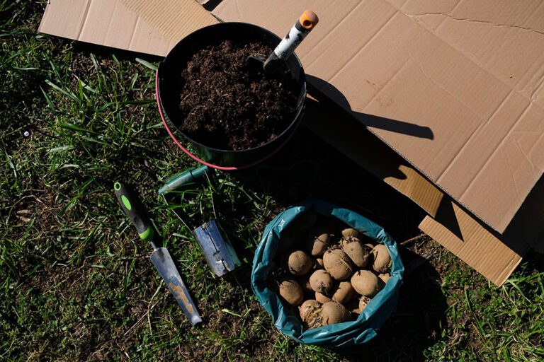 De materialen voor het no-dig bed liggen op het gras.