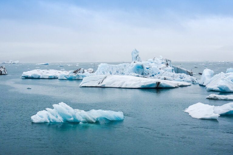 Enkele ijsschotsen drijven op zee.