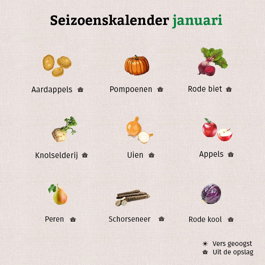 De grafiek laat zien welke groenten en fruit uit de opslag verkrijgbaar zijn in de seizoenskalender van januari.
