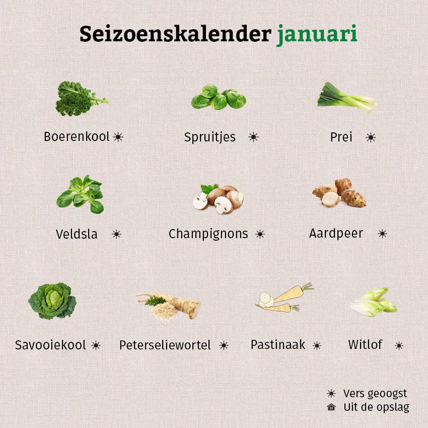 De grafiek laat zien welke groenten en fruit in januari vers geoogst verkrijgbaar zijn.