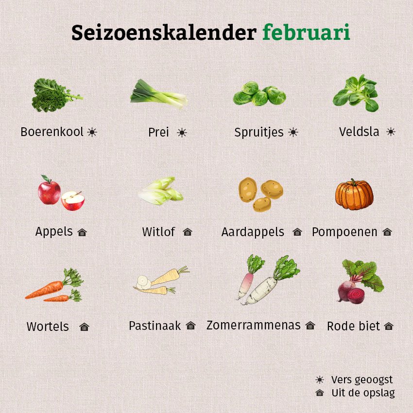 De grafiek toont verse en opgeslagen groenten en fruit in de seizoenskalender van februari.