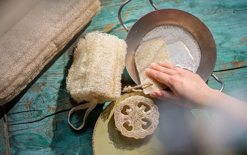 De loofah spons is een duurzame en veelzijdige alleskunner.