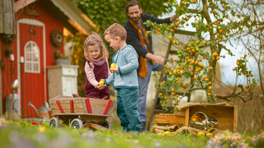 Hier zie je kinderen die helpen bij de appeloogst