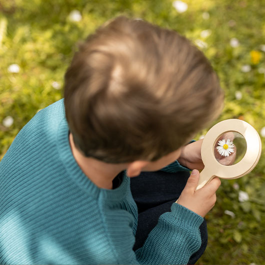 Jongen met houten vergrootglas onderzoekt een madeliefje