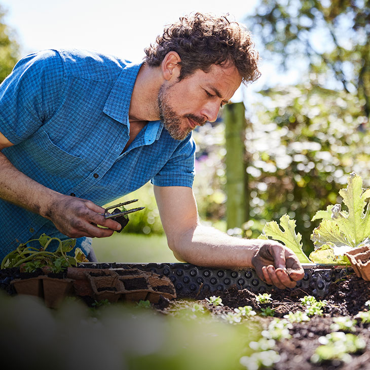 Man in natuurlijke mode tijdens het planten van stekjes