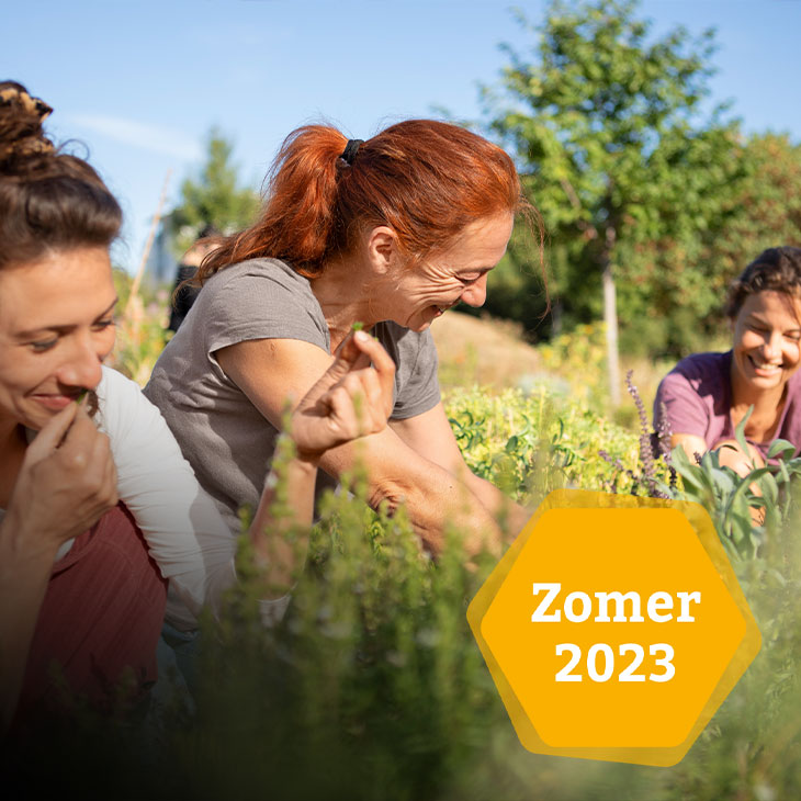 Hier vind je ons nieuwe assortiment voor de zomer