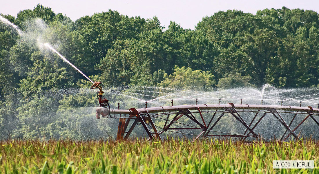 Het aandeel van het waterverbruik in de landbouw op de waterafdruk is groot Het aandeel van het waterverbruik in de landbouw op de waterafdruk is groot