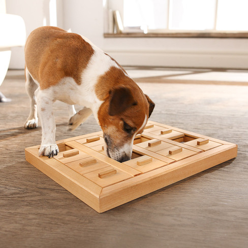 Intelligentie-speelgoed voor honden