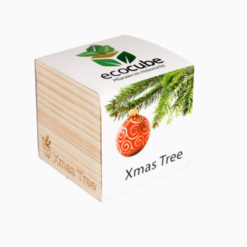 Kerstboom uit de houten box "ecocube"