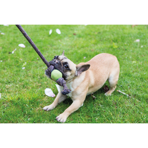 Beco Pets hondenspeeltje slingerbal